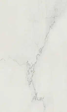 501 Snowdrift
