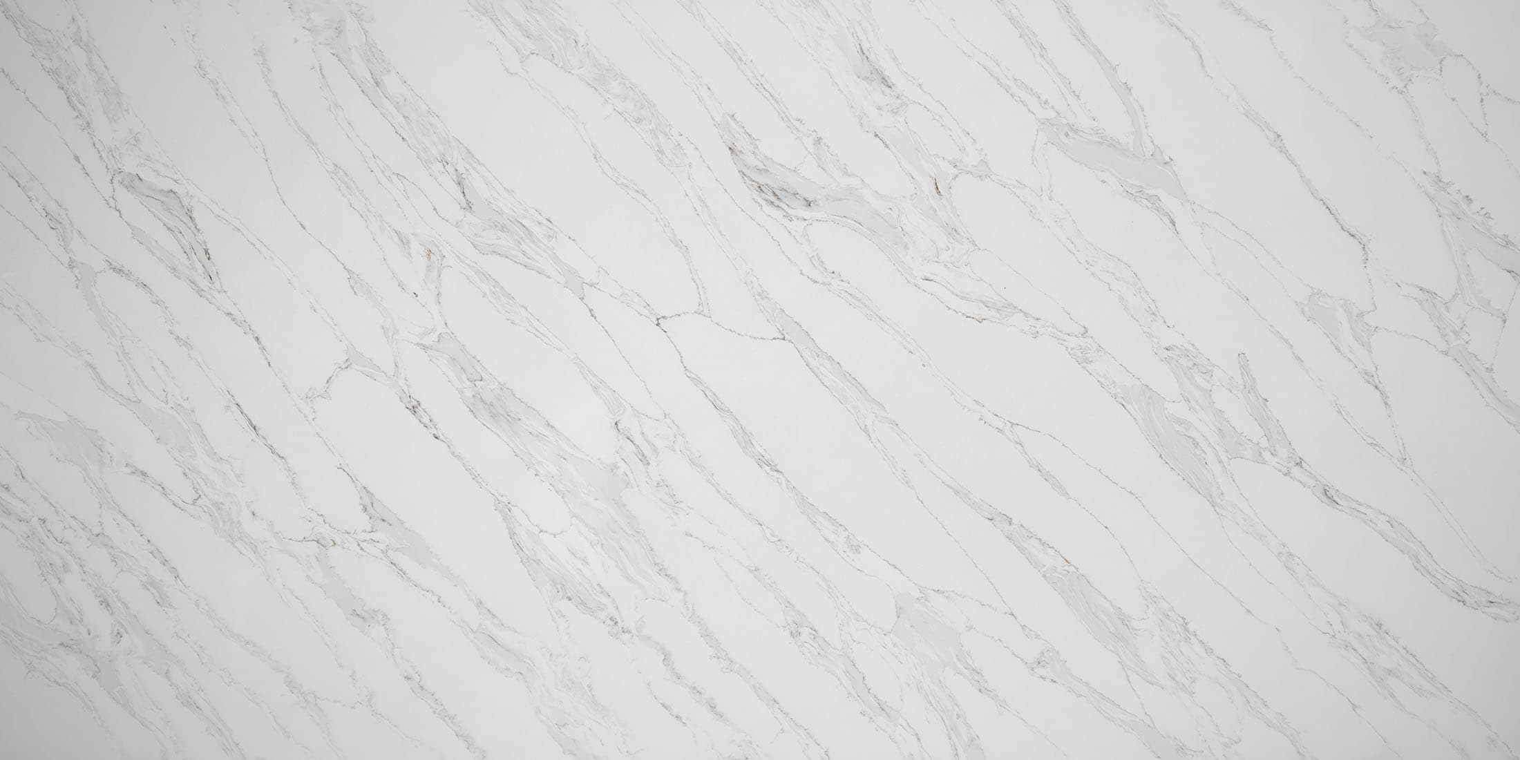 Ionian White